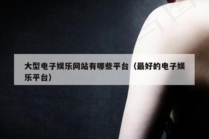 大型电子娱乐网站有哪些平台（最好的电子娱乐平台）