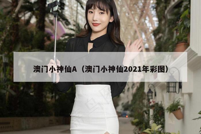 澳门小神仙A(澳门小神仙2021年彩图)
